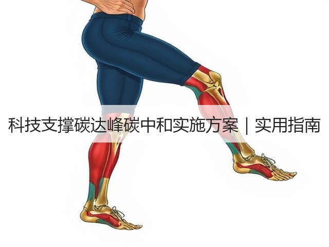 科技支撑碳达峰碳中和实施方案|实用指南(图3) 科技支撑碳达峰碳中和实施方案|实用指南(图3)