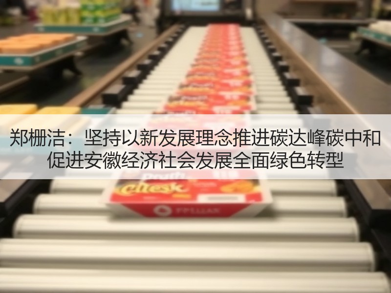 郑栅洁：坚持以新发展理念推进碳达峰碳中和 促进安徽经济社会发展全面绿色转型