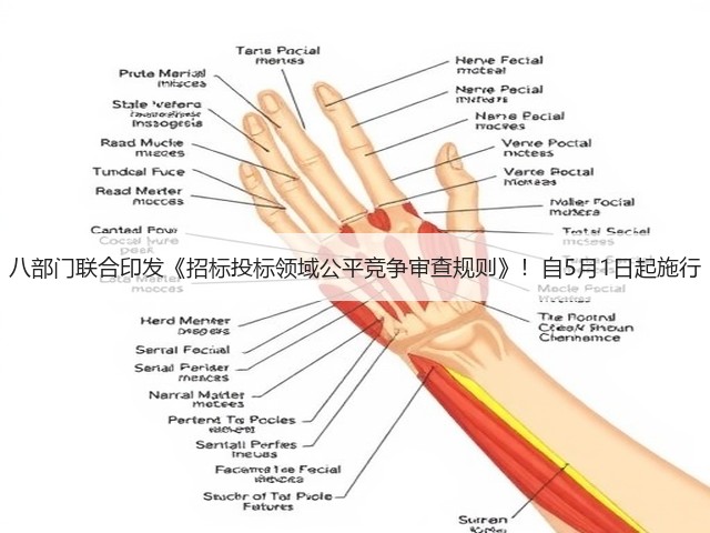 八部门联合印发《招标投标领域公平竞争审查规则》!自5月1日起施行(图3) 八部门联合印发《招标投标领域公平竞争审查规则》!自5月1日起施行(图3)