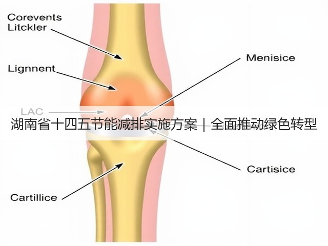 湖南省十四五节能减排实施方案|全面推动绿色转型(图1) 湖南省十四五节能减排实施方案|全面推动绿色转型(图1)