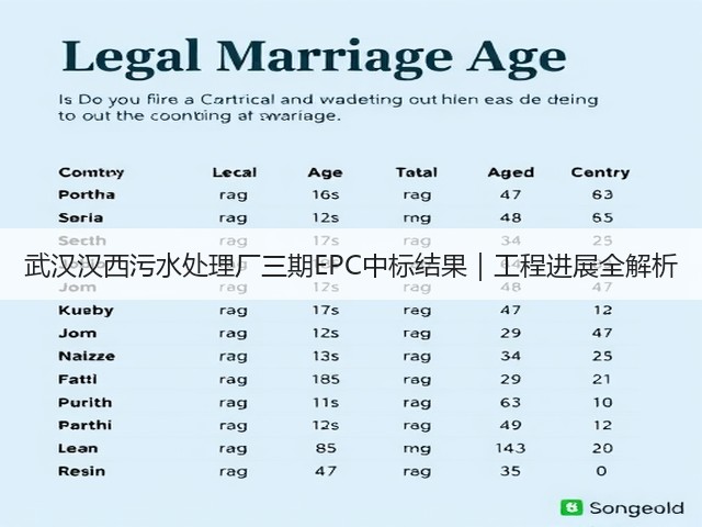 武汉汉西污水处理厂三期EPC中标结果|工程进展全解析(图2) 武汉汉西污水处理厂三期EPC中标结果|工程进展全解析(图2)