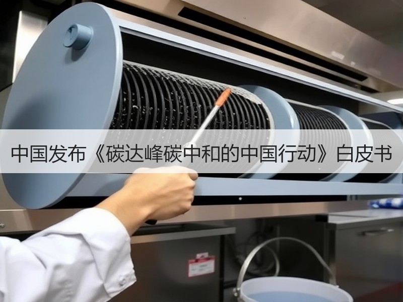 中国发布《碳达峰碳中和的中国行动》白皮书