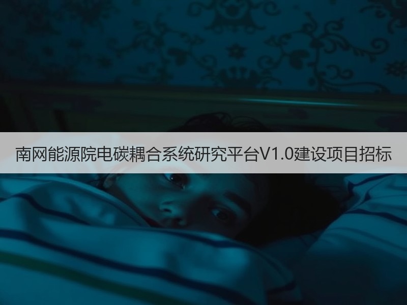 南网能源院电碳耦合系统研究平台V1.0建设项目招标
