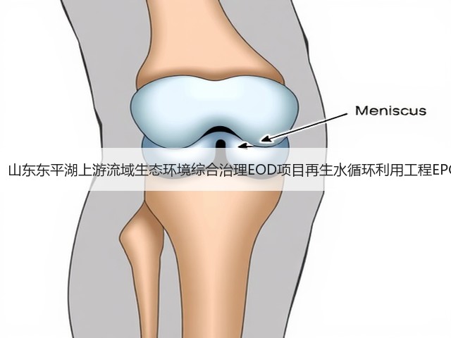 1.69亿！山东东平湖上游流域生态环境综合治理EOD项目再生水循环利用工程EPC开标！(图1)