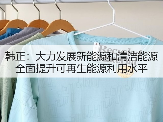 韩正:大力发展新能源和清洁能源 全面提升可再生能源利用水平(图2) 韩正:大力发展新能源和清洁能源 全面提升可再生能源利用水平(图2)