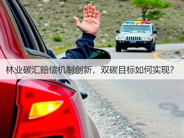 林业碳汇赔偿机制创新,双碳目标如何实现?(图2) 林业碳汇赔偿机制创新,双碳目标如何实现?(图2)