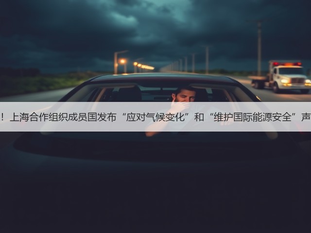 关注!上海合作组织成员国发布“应对气候变化”和“维护国际能源安全”声明!(图1) 关注!上海合作组织成员国发布“应对气候变化”和“维护国际能源安全”声明!(图1)