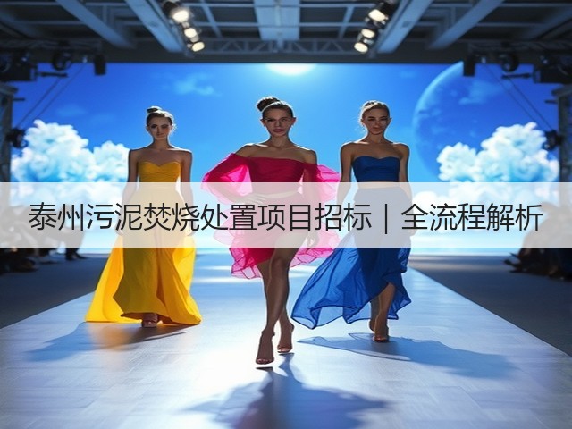 泰州污泥焚烧处置项目招标|全流程解析(图2) 泰州污泥焚烧处置项目招标|全流程解析(图2)