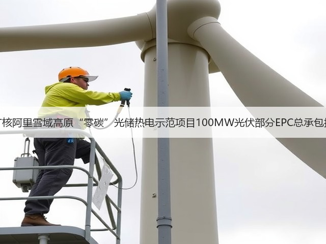 中广核阿里雪域高原“零碳”光储热电示范项目100MW光伏部分EPC总承包招标(图3) 中广核阿里雪域高原“零碳”光储热电示范项目100MW光伏部分EPC总承包招标(图3)