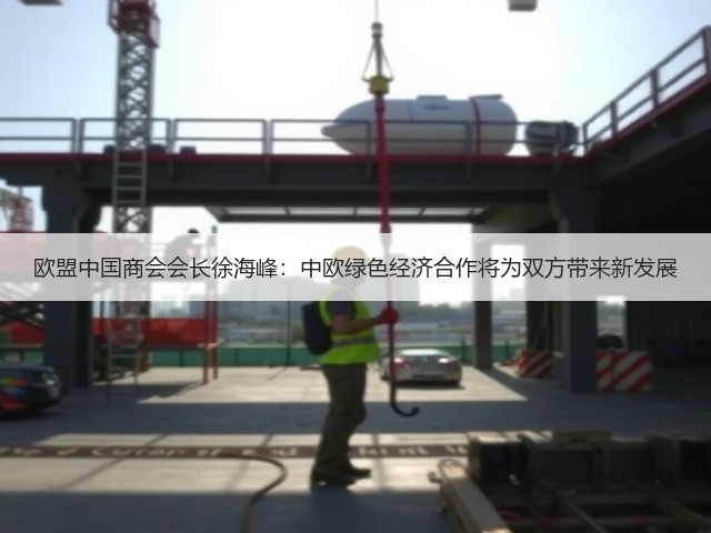 欧盟中国商会会长徐海峰：中欧绿色经济合作将为双方带来新发展(图3)