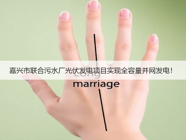 嘉兴市联合污水厂光伏发电项目实现全容量并网发电！(图3)