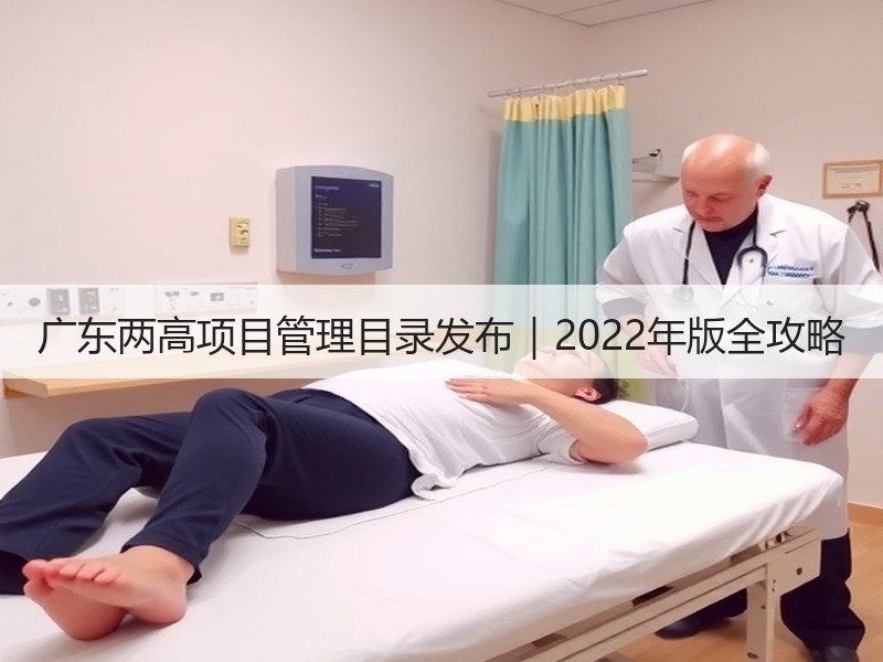 广东两高项目管理目录发布|2022年版全攻略 广东两高项目管理目录发布|2022年版全攻略