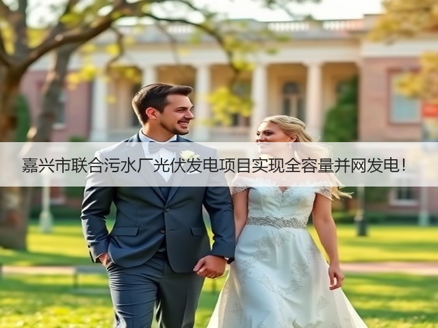嘉兴市联合污水厂光伏发电项目实现全容量并网发电!(图2) 嘉兴市联合污水厂光伏发电项目实现全容量并网发电!(图2)