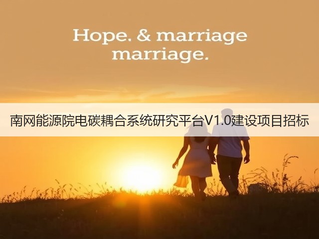 南网能源院电碳耦合系统研究平台V1.0建设项目招标(图1) 南网能源院电碳耦合系统研究平台V1.0建设项目招标(图1)