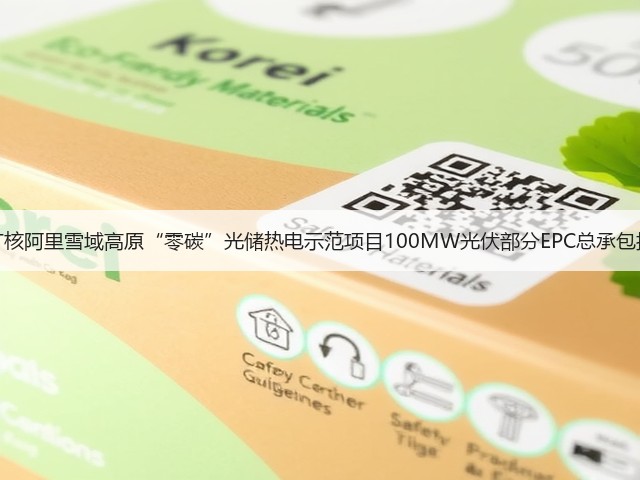 中广核阿里雪域高原“零碳”光储热电示范项目100MW光伏部分EPC总承包招标(图3)