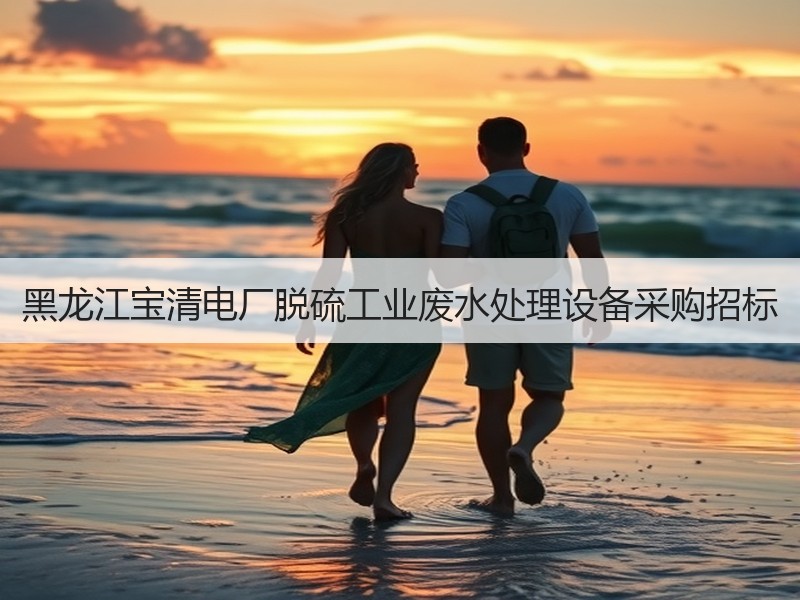 黑龙江宝清电厂脱硫工业废水处理设备采购招标 黑龙江宝清电厂脱硫工业废水处理设备采购招标