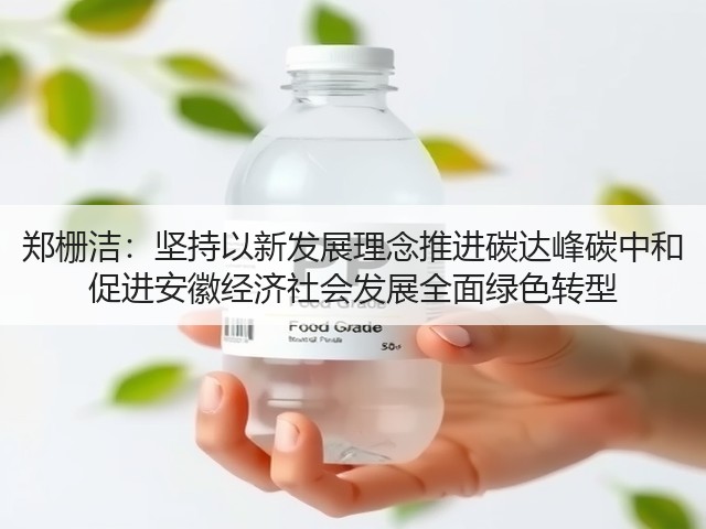 郑栅洁:坚持以新发展理念推进碳达峰碳中和 促进安徽经济社会发展全面绿色转型(图1) 郑栅洁:坚持以新发展理念推进碳达峰碳中和 促进安徽经济社会发展全面绿色转型(图1)