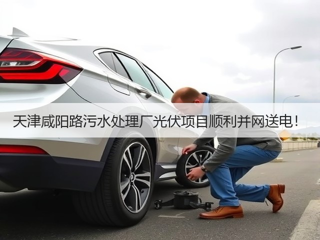 天津咸阳路污水处理厂光伏项目顺利并网送电!(图3) 天津咸阳路污水处理厂光伏项目顺利并网送电!(图3)