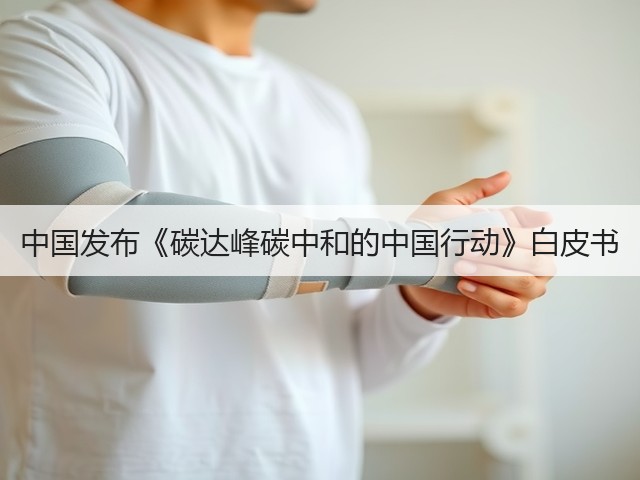 中国发布《碳达峰碳中和的中国行动》白皮书(图1)