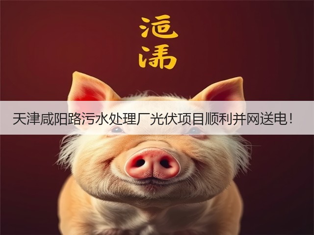 天津咸阳路污水处理厂光伏项目顺利并网送电!(图1) 天津咸阳路污水处理厂光伏项目顺利并网送电!(图1)