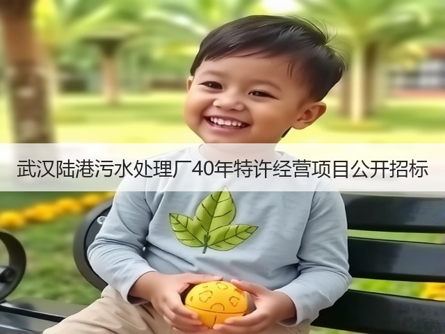 武汉陆港污水处理厂40年特许经营项目公开招标(图2) 武汉陆港污水处理厂40年特许经营项目公开招标(图2)