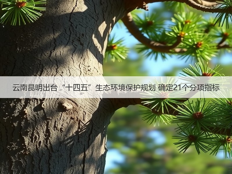 云南昆明出台“十四五”生态环境保护规划 确定21个分项指标 云南昆明出台“十四五”生态环境保护规划 确定21个分项指标