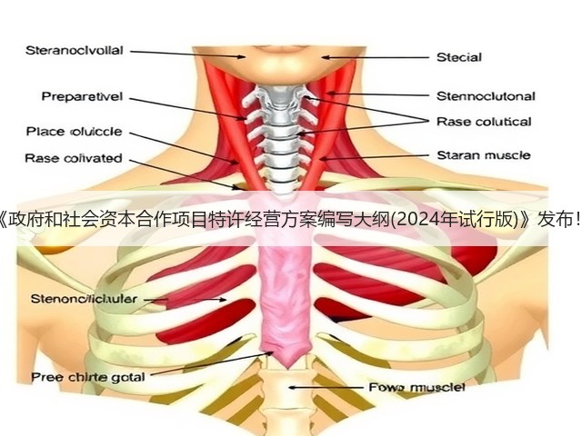 《政府和社会资本合作项目特许经营方案编写大纲(2024年试行版)》发布!(图2) 《政府和社会资本合作项目特许经营方案编写大纲(2024年试行版)》发布!(图2)