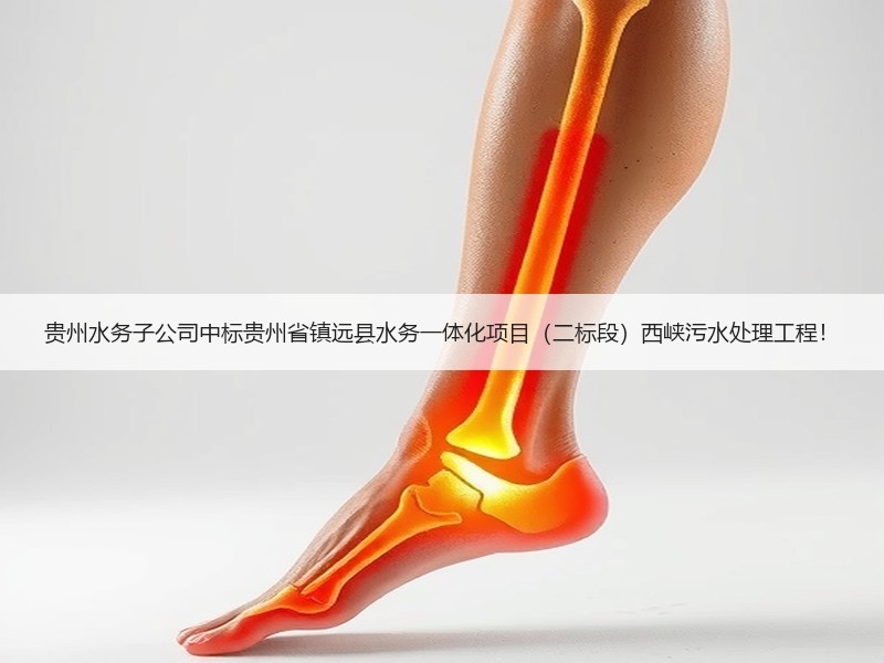 贵州水务子公司中标贵州省镇远县水务一体化项目（二标段）西峡污水处理工程！
