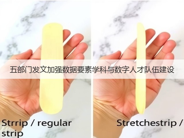 五部门发文加强数据要素学科与数字人才队伍建设(图2) 五部门发文加强数据要素学科与数字人才队伍建设(图2)