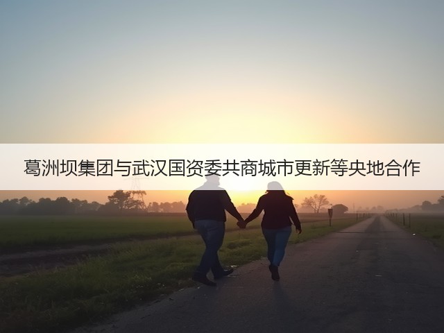 葛洲坝集团与武汉国资委共商城市更新等央地合作(图3) 葛洲坝集团与武汉国资委共商城市更新等央地合作(图3)