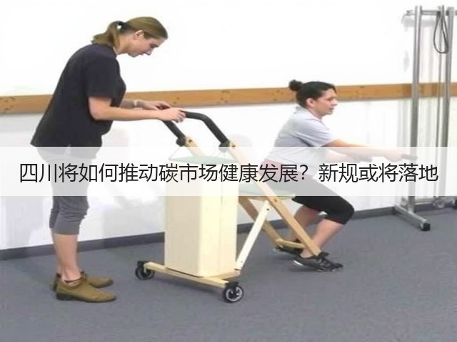 四川将如何推动碳市场健康发展?新规或将落地(图3) 四川将如何推动碳市场健康发展?新规或将落地(图3)