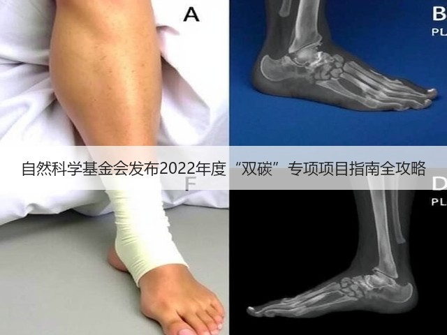 自然科学基金会发布2022年度“双碳”专项项目指南全攻略(图2)