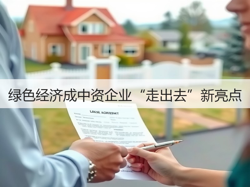 绿色经济成中资企业“走出去”新亮点