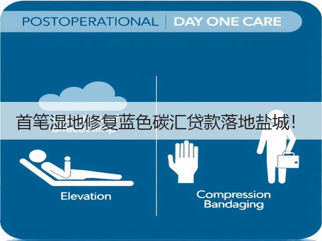 首笔湿地修复蓝色碳汇贷款落地盐城!(图2) 首笔湿地修复蓝色碳汇贷款落地盐城!(图2)