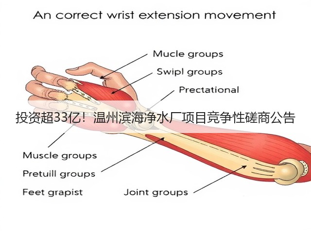 投资超33亿!温州滨海净水厂项目竞争性磋商公告(图3) 投资超33亿!温州滨海净水厂项目竞争性磋商公告(图3)