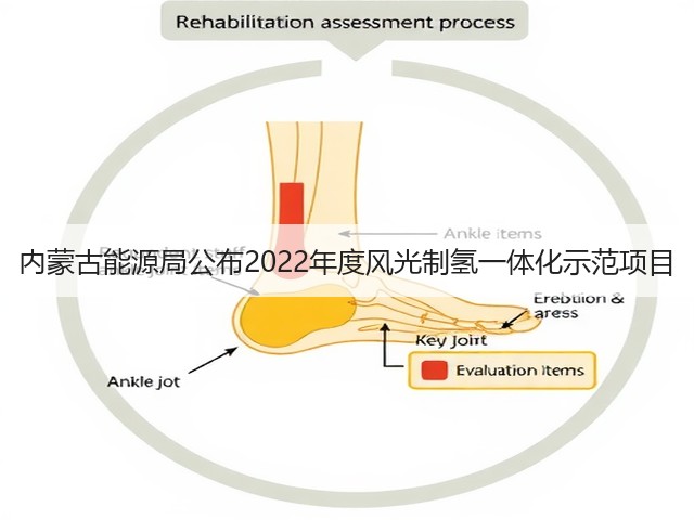 内蒙古能源局公布2022年度风光制氢一体化示范项目(图2)