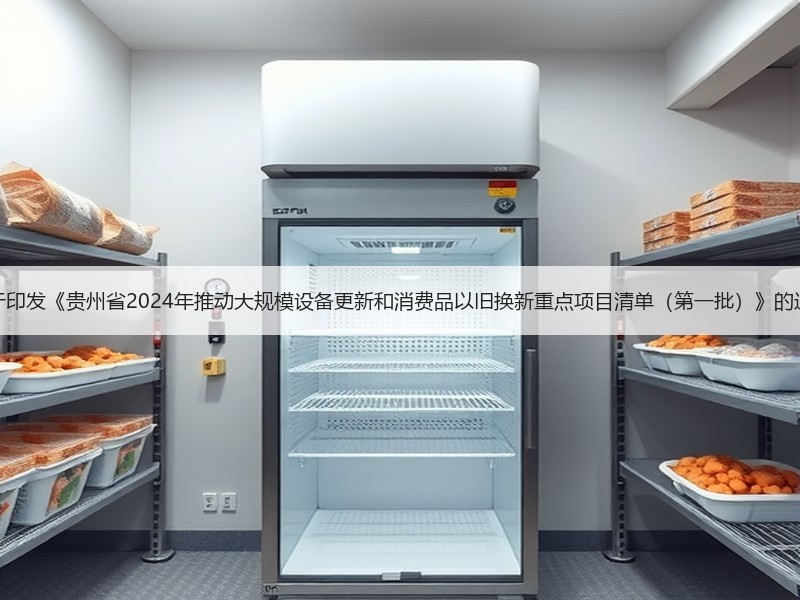 关于印发《贵州省2024年推动大规模设备更新和消费品以旧换新重点项目清单（第一批）》的通知