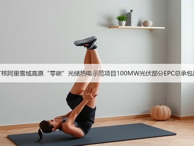 中广核阿里雪域高原“零碳”光储热电示范项目100MW光伏部分EPC总承包招标(图3) 中广核阿里雪域高原“零碳”光储热电示范项目100MW光伏部分EPC总承包招标(图3)