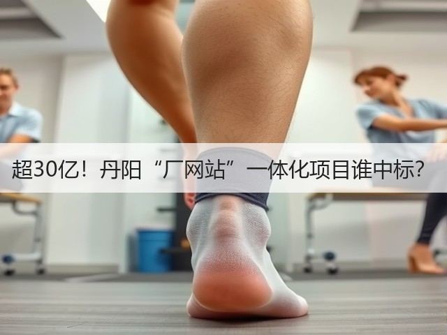 超30亿!丹阳“厂网站”一体化项目谁中标?(图2) 超30亿!丹阳“厂网站”一体化项目谁中标?(图2)
