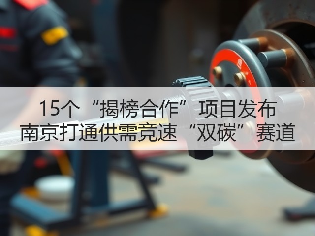 15个“揭榜合作”项目发布 南京打通供需竞速“双碳”赛道(图1) 15个“揭榜合作”项目发布 南京打通供需竞速“双碳”赛道(图1)