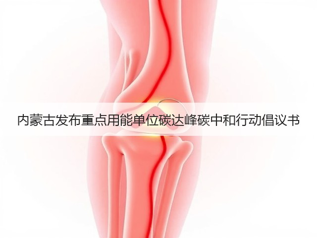 内蒙古发布重点用能单位碳达峰碳中和行动倡议书(图3) 内蒙古发布重点用能单位碳达峰碳中和行动倡议书(图3)