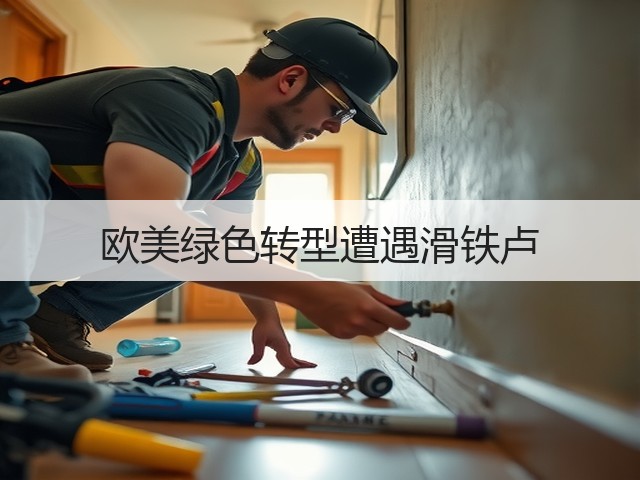 欧美绿色转型遭遇滑铁卢(图2)