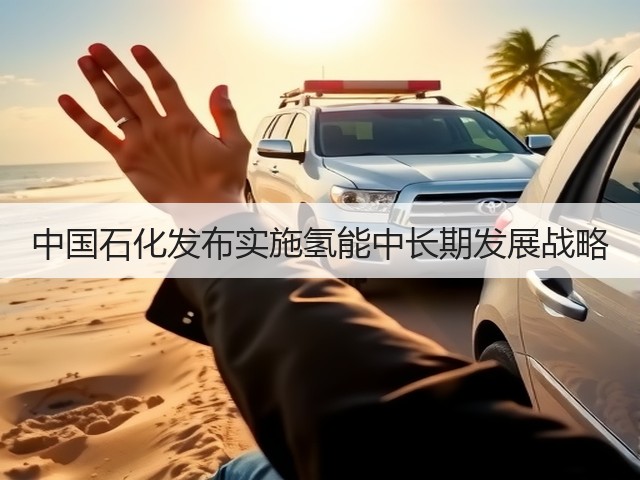 中国石化发布实施氢能中长期发展战略(图1) 中国石化发布实施氢能中长期发展战略(图1)