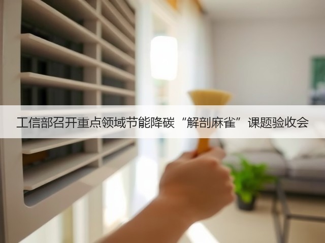 工信部召开重点领域节能降碳“解剖麻雀”课题验收会(图3) 工信部召开重点领域节能降碳“解剖麻雀”课题验收会(图3)