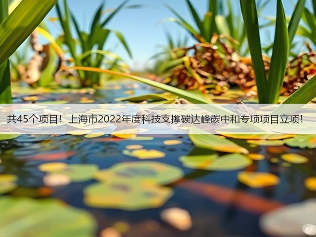 共45个项目!上海市2022年度科技支撑碳达峰碳中和专项项目立项!(图3) 共45个项目!上海市2022年度科技支撑碳达峰碳中和专项项目立项!(图3)