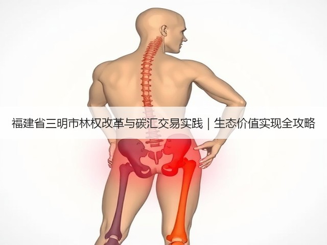 福建省三明市林权改革与碳汇交易实践｜生态价值实现全攻略(图3)