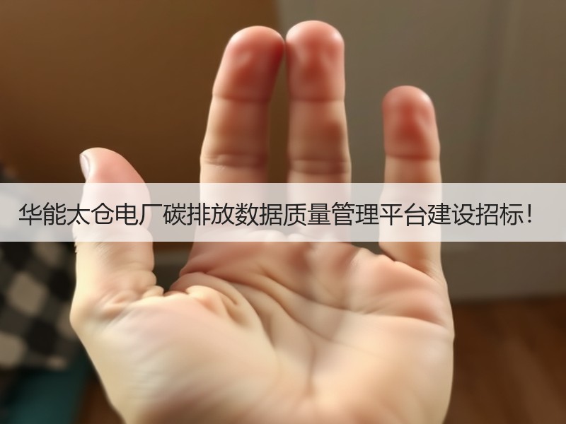 华能太仓电厂碳排放数据质量管理平台建设招标! 华能太仓电厂碳排放数据质量管理平台建设招标!