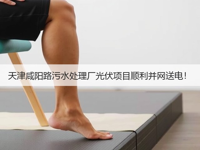 天津咸阳路污水处理厂光伏项目顺利并网送电!(图3) 天津咸阳路污水处理厂光伏项目顺利并网送电!(图3)