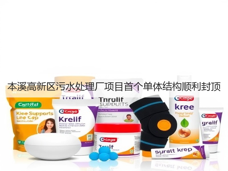 本溪高新区污水处理厂项目首个单体结构顺利封顶