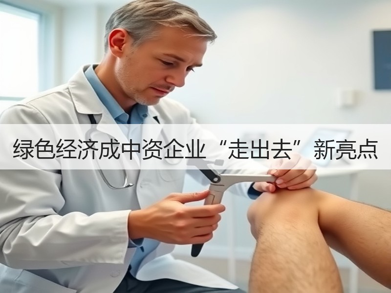 绿色经济成中资企业“走出去”新亮点